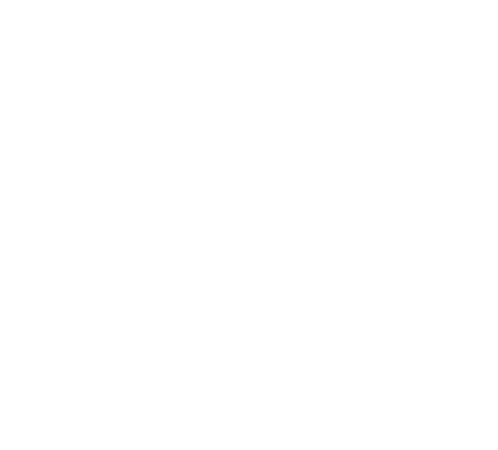 Disability Confident